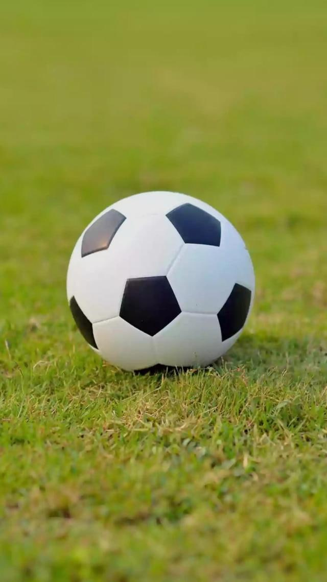 足球比分波胆分析平台界面展示